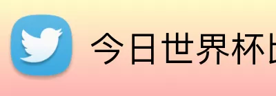 今日世界杯比分 Logo